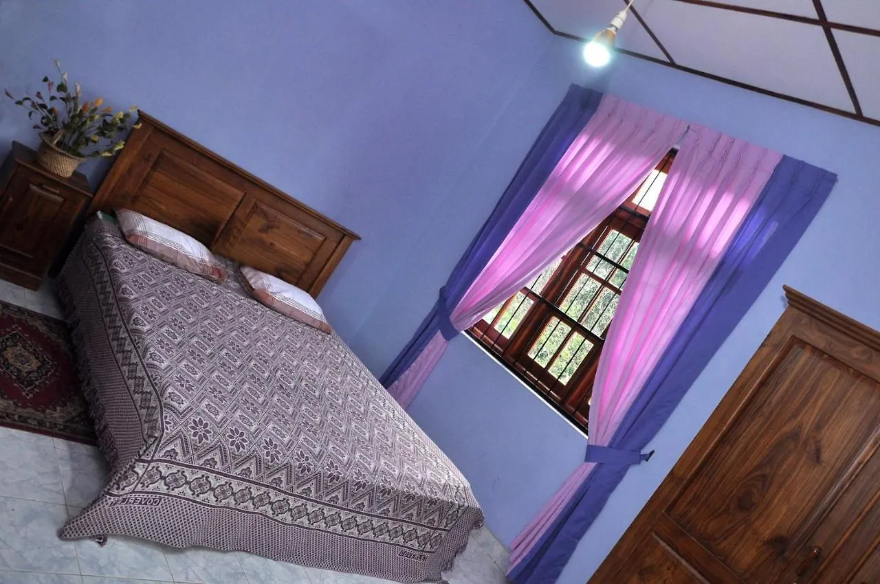 Springhill Homestay Kandy Sri Lanka