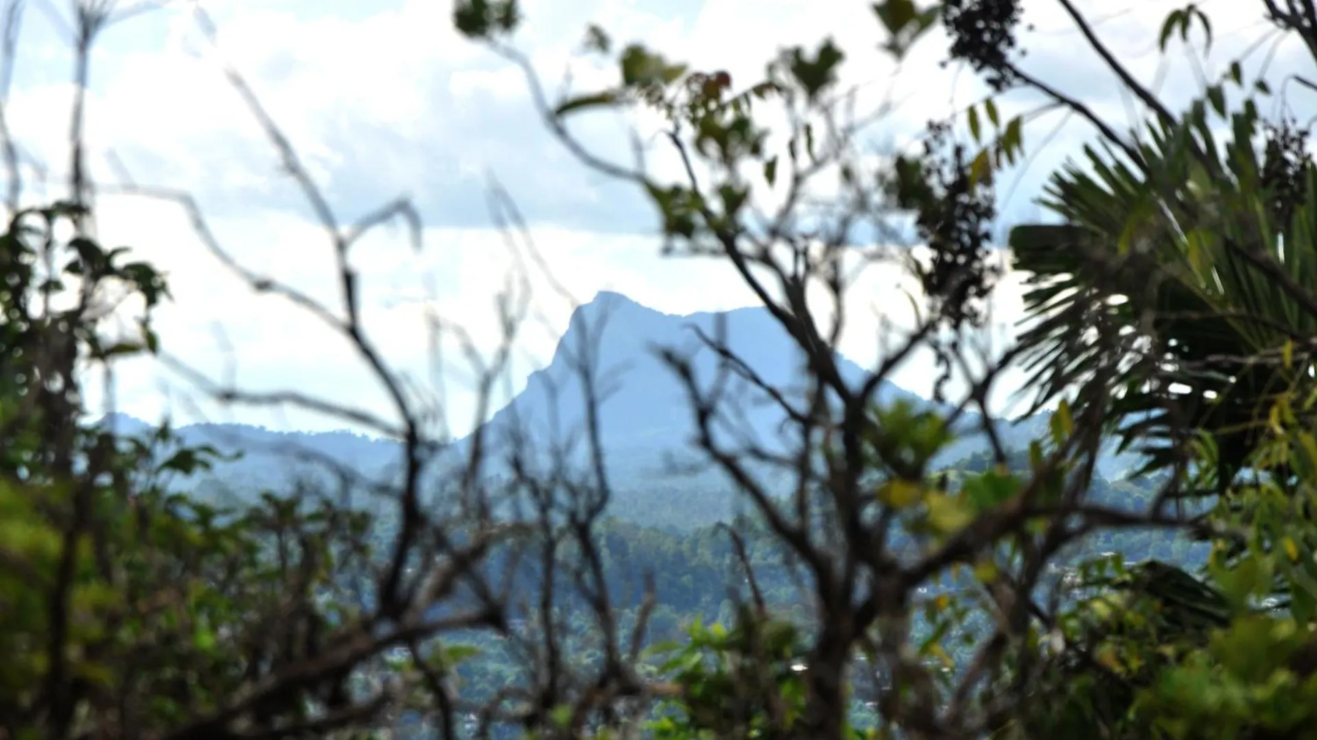 Springhill Homestay Kandy